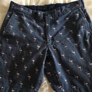 J.Crew Shorts